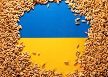 L'impact du retrait russe sur les céréales ukrainiennes : quelles conséquences pour le marché mondial ?