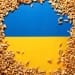 L'impact du retrait russe sur les céréales ukrainiennes : quelles conséquences pour le marché mondial ?